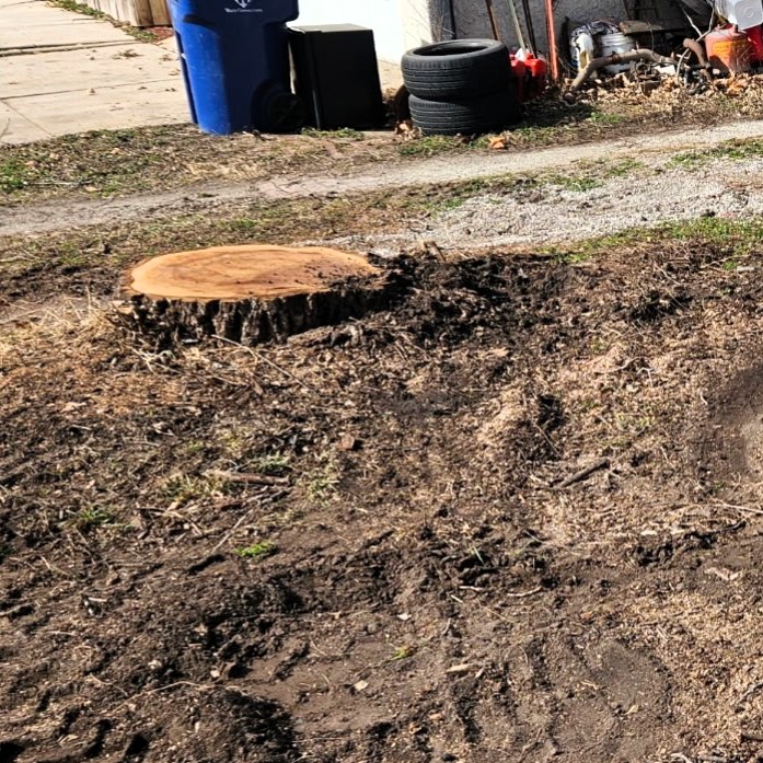 The alley can now be straightened back out as the stump was also ground down.