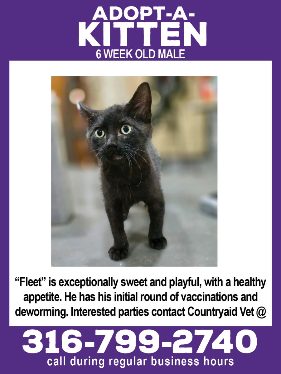 Fleet is now available for Adoption