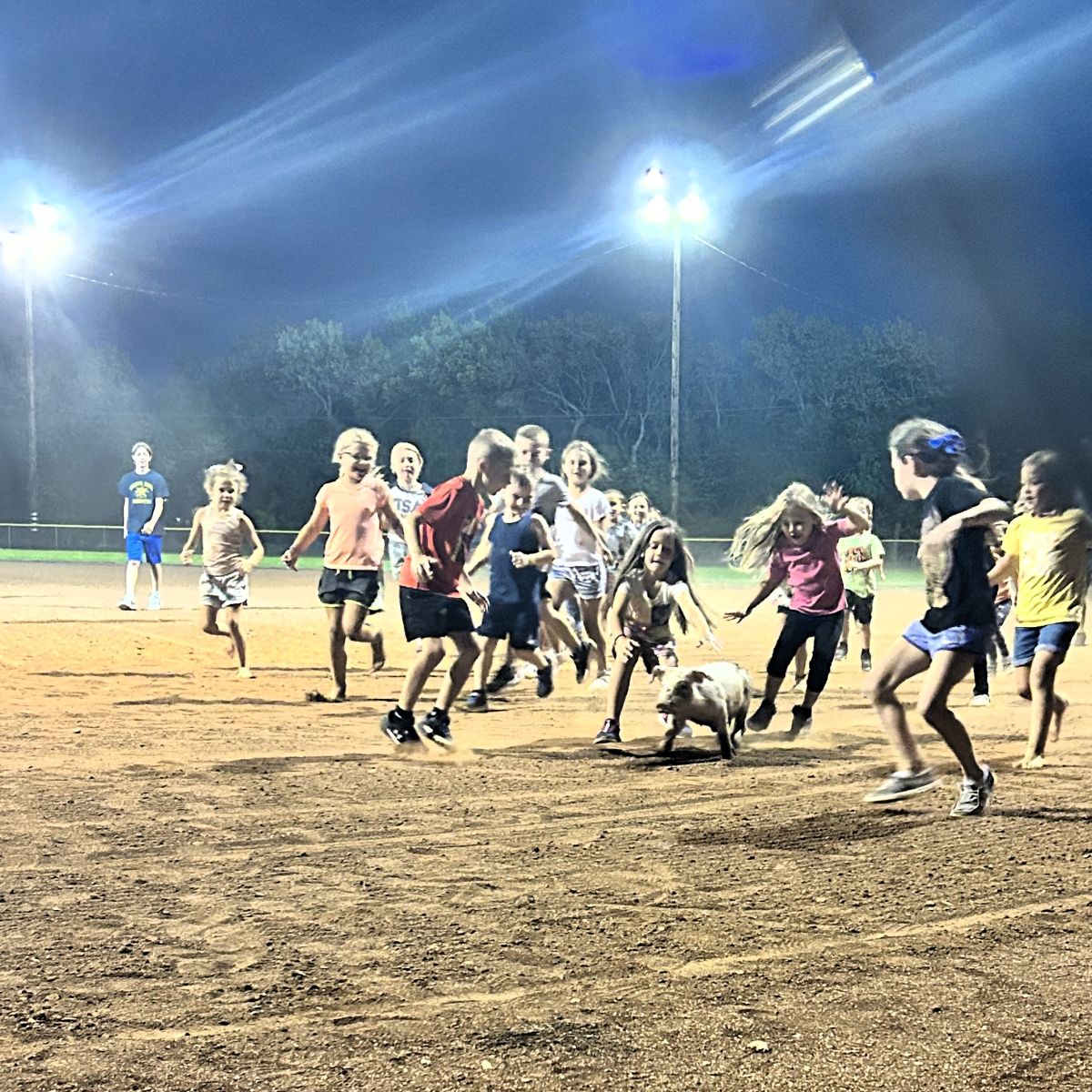 children race to capture a greased pig running at the ballfield