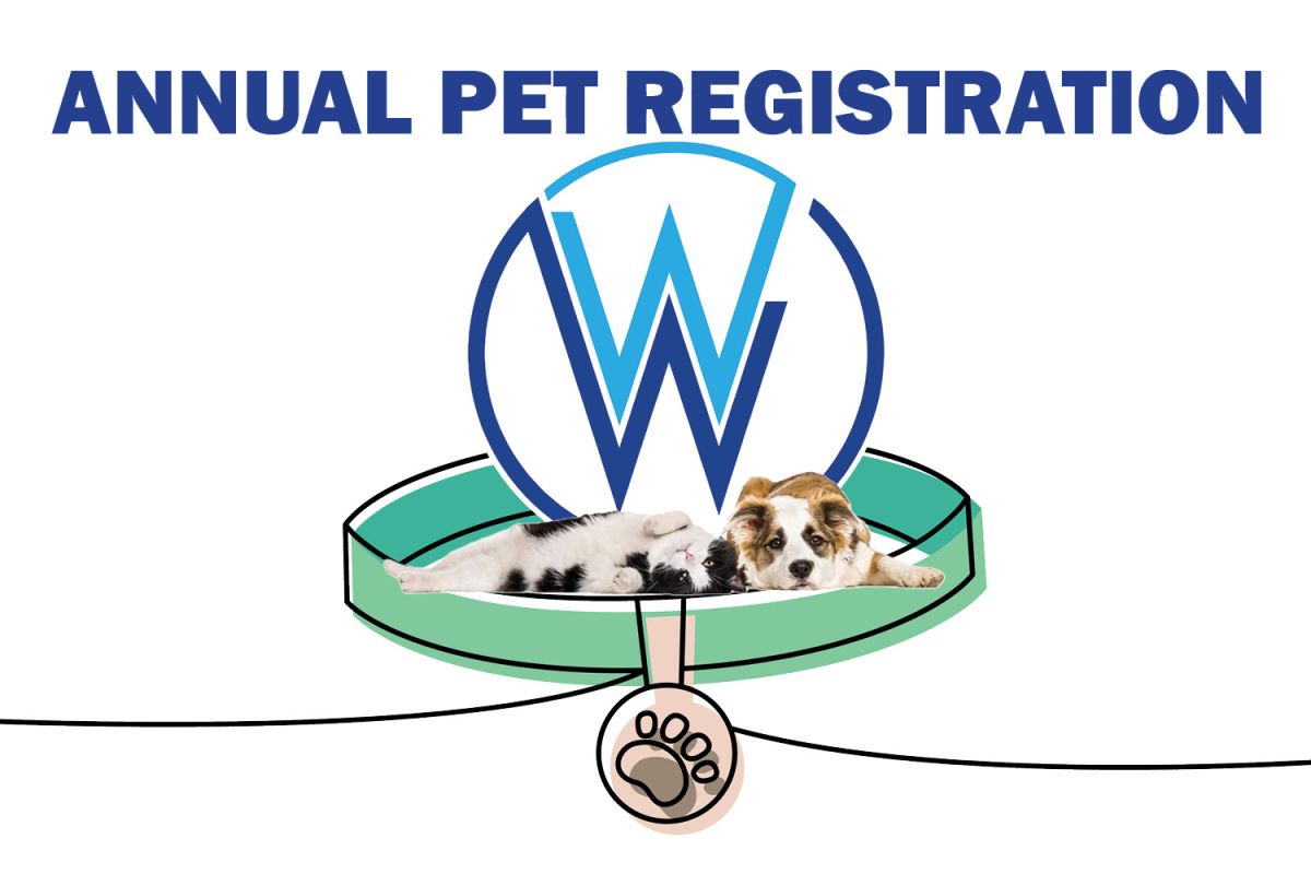 a collar with a tag and reminder saying Annual Pet Registration
