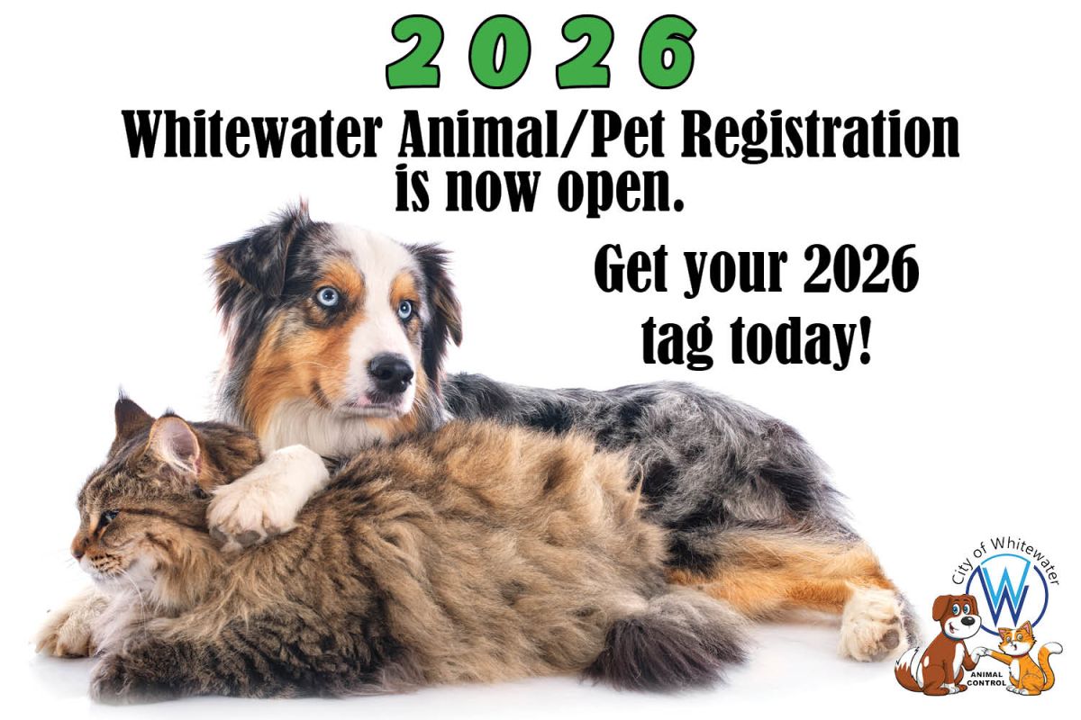 dog and cat cuddling, text reminding folks that pets need to be registered for 2026