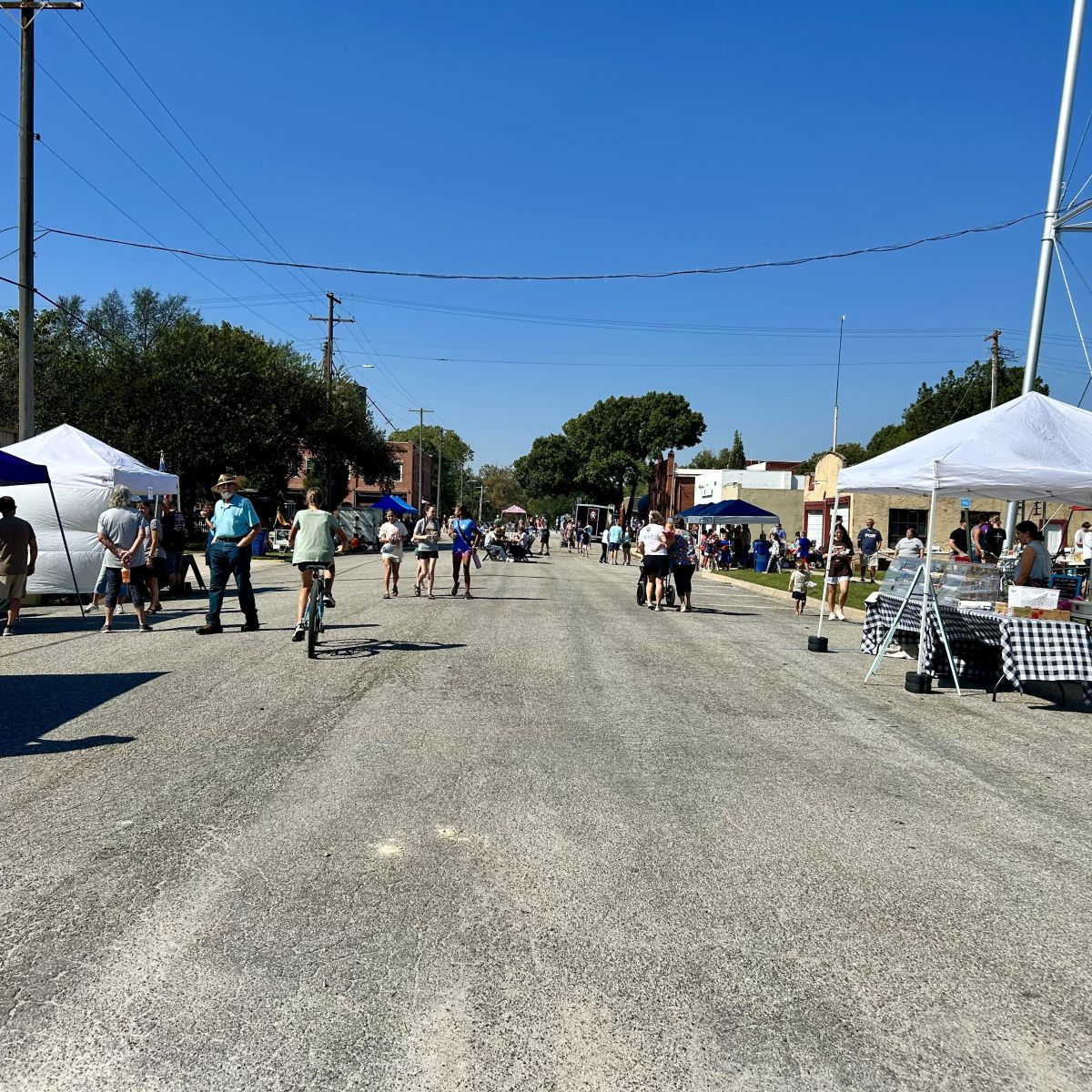 Plenty of Food Vendors lining Topeka and beyond