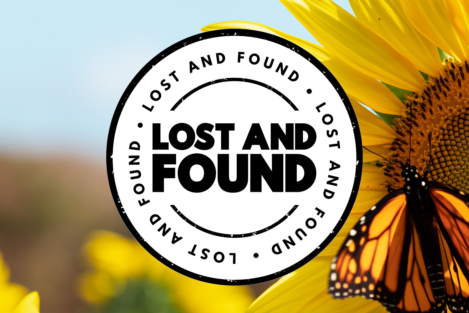 background image of sunflower and monarch butterlfy with a Lost and Found logo in front of it